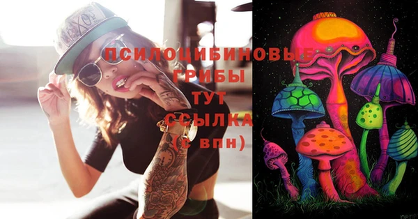 эйфоретик Сосновый Бор
