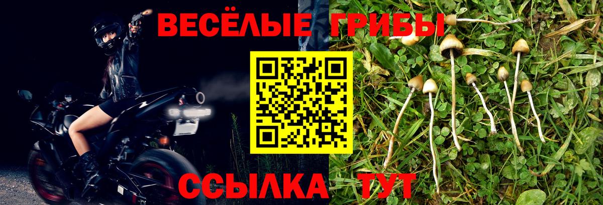 Псилоцибиновые грибы Magic Shrooms Нальчик
