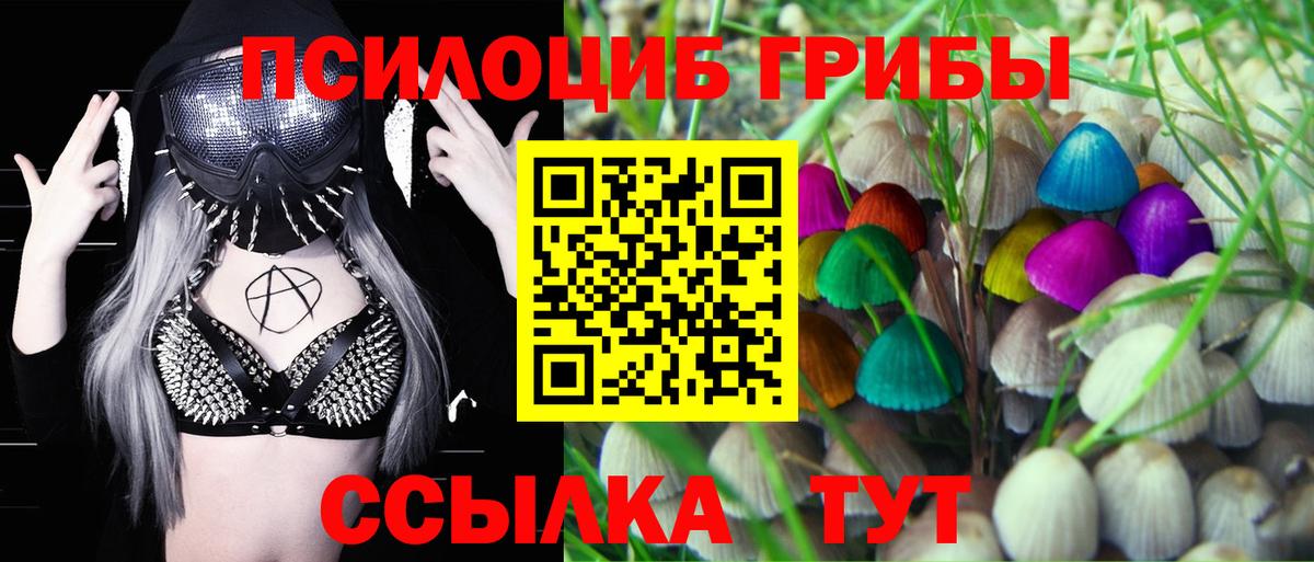 Нальчик  Псилоцибиновые грибы Cubensis  Вход с VPN 